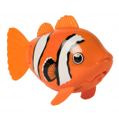 Rainbow Reef Fish Klovni kala Rainbow Reef Fish Klovni kala