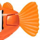 Rainbow Reef Fish Klovni kala Rainbow Reef Fish Klovni kala