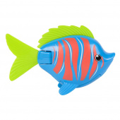 Rainbow Reef Fish Guppie Goldberg Rainbow Reef Fish Guppie Goldberg
