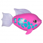 Rainbow Reef Fish Tuna Turner Rainbow Reef Fish Tuna Turner