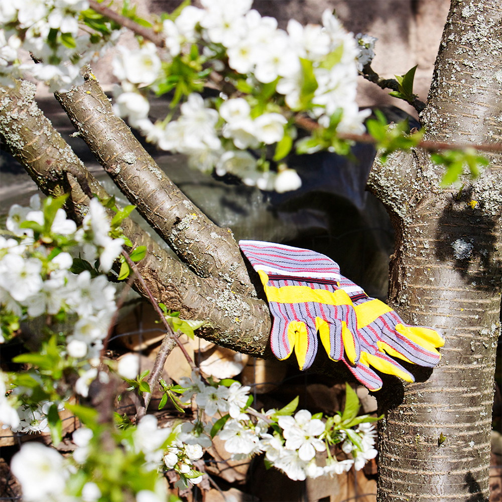 Boschin puutarhurisarja