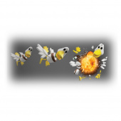 ProjeX Duck Arcade 1 Pelaaja ProjeX Duck Arcade 1 Pelaaja