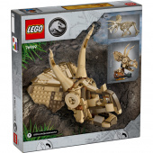 LEGO Jurassic World - Dinosaurusfossiilit: Triceratopsin kallo LEGO Jurassic World - Dinosaurusfossiilit: Triceratopsin kallo