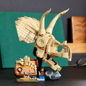 LEGO Jurassic World - Dinosaurusfossiilit: Triceratopsin kallo LEGO Jurassic World - Dinosaurusfossiilit: Triceratopsin kallo