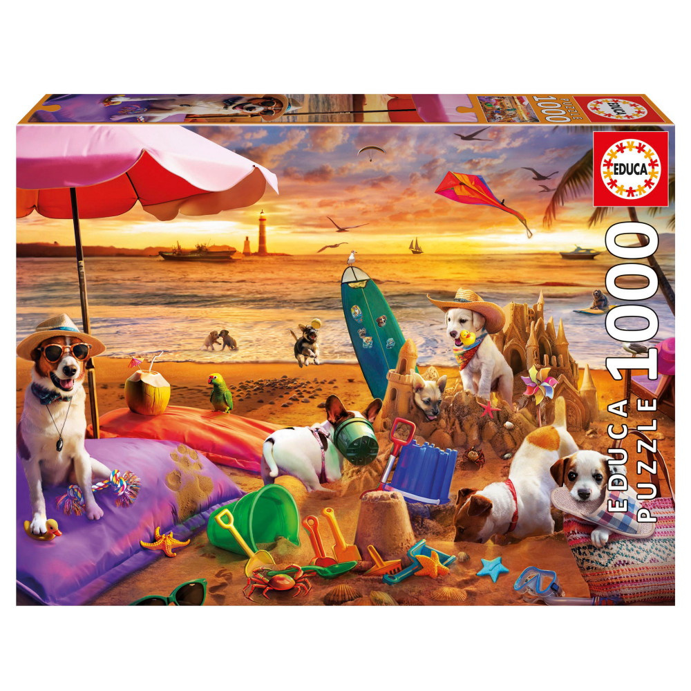 Educa Dogs playing at the beach 1000 Palaa