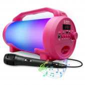 PFL Karaoke Party Booster PFL Karaoke Party Booster