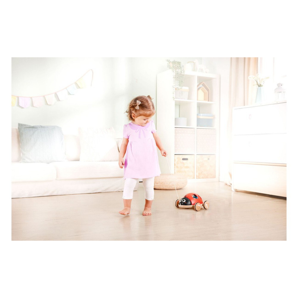 Hape Shape Sorter Ladybug