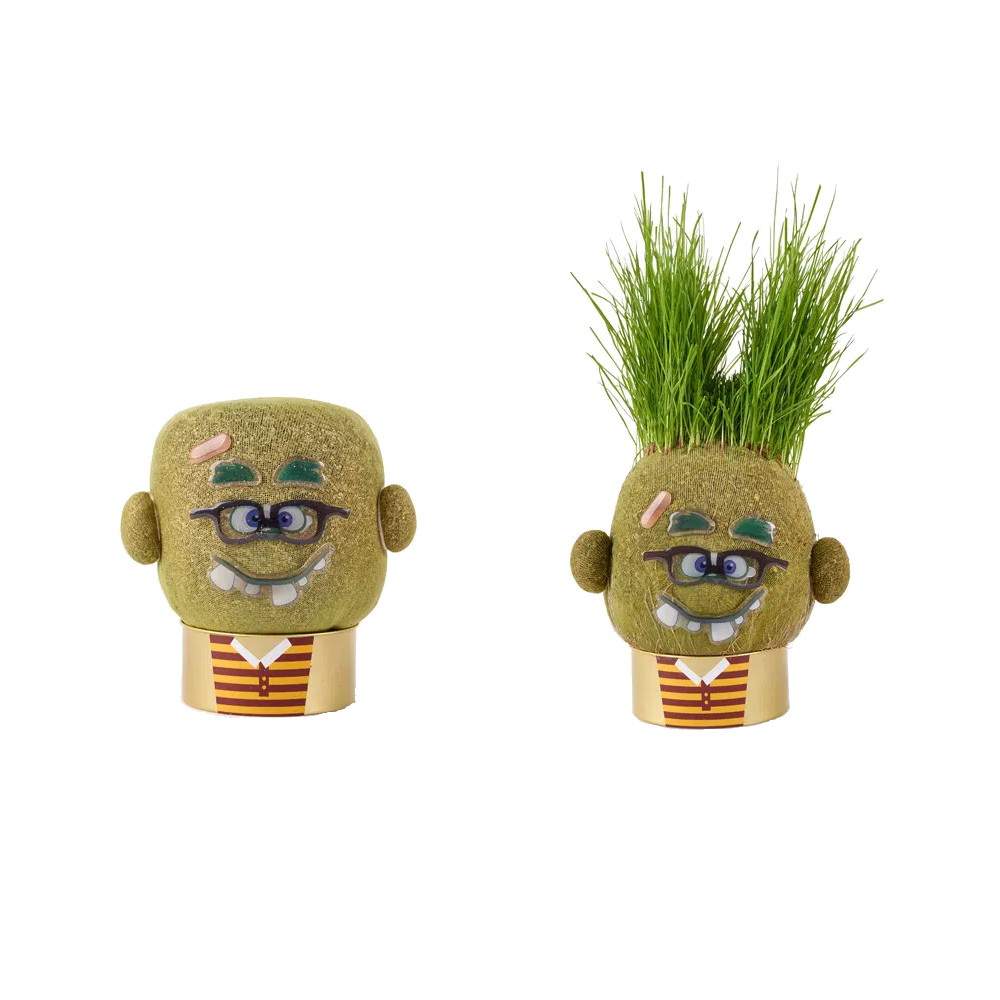 Hape Plant Pals