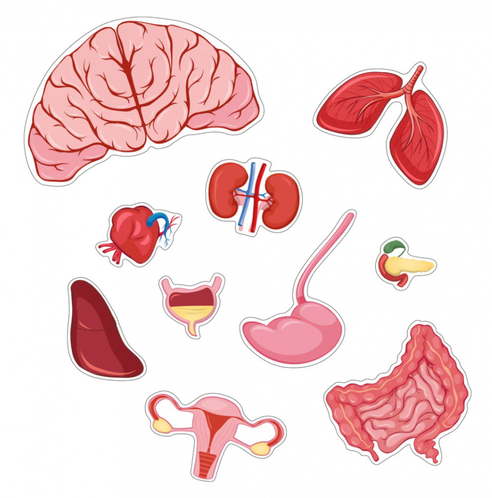 Body Palapeli Tyttö 36 Palaa