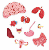 Body Palapeli Tyttö 36 Palaa Body Palapeli Tyttö 36 Palaa