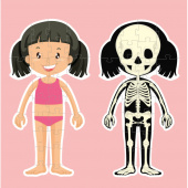 Body Palapeli Tyttö 36 Palaa Body Palapeli Tyttö 36 Palaa