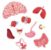 Body palapeli Poika 36 Palaa Body palapeli Poika 36 Palaa