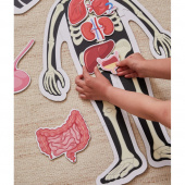 Body palapeli Poika 36 Palaa Body palapeli Poika 36 Palaa