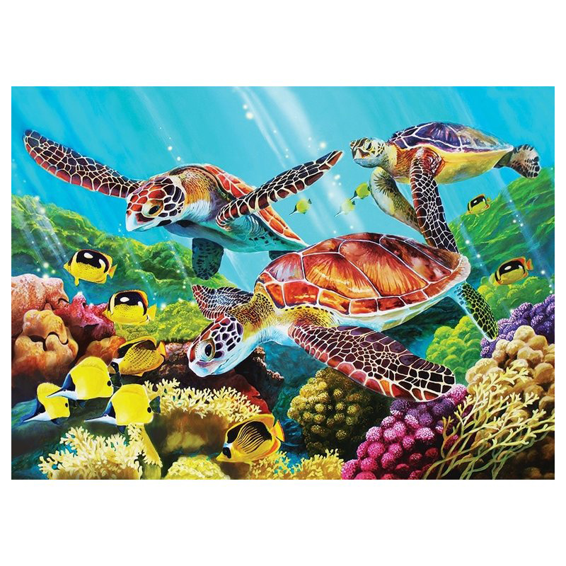 Cobble Hill Molokini Current 350 Palaa