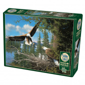 Cobble Hill Nesting Eagles 1000 Palaa Cobble Hill Nesting Eagles 1000 Palaa