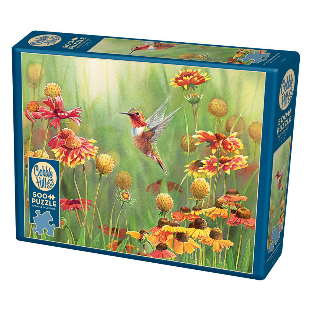 Cobble Hill Rufous Hummingbird 500 Palaa