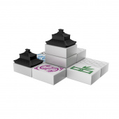 Dragon Castle Dragon Castle