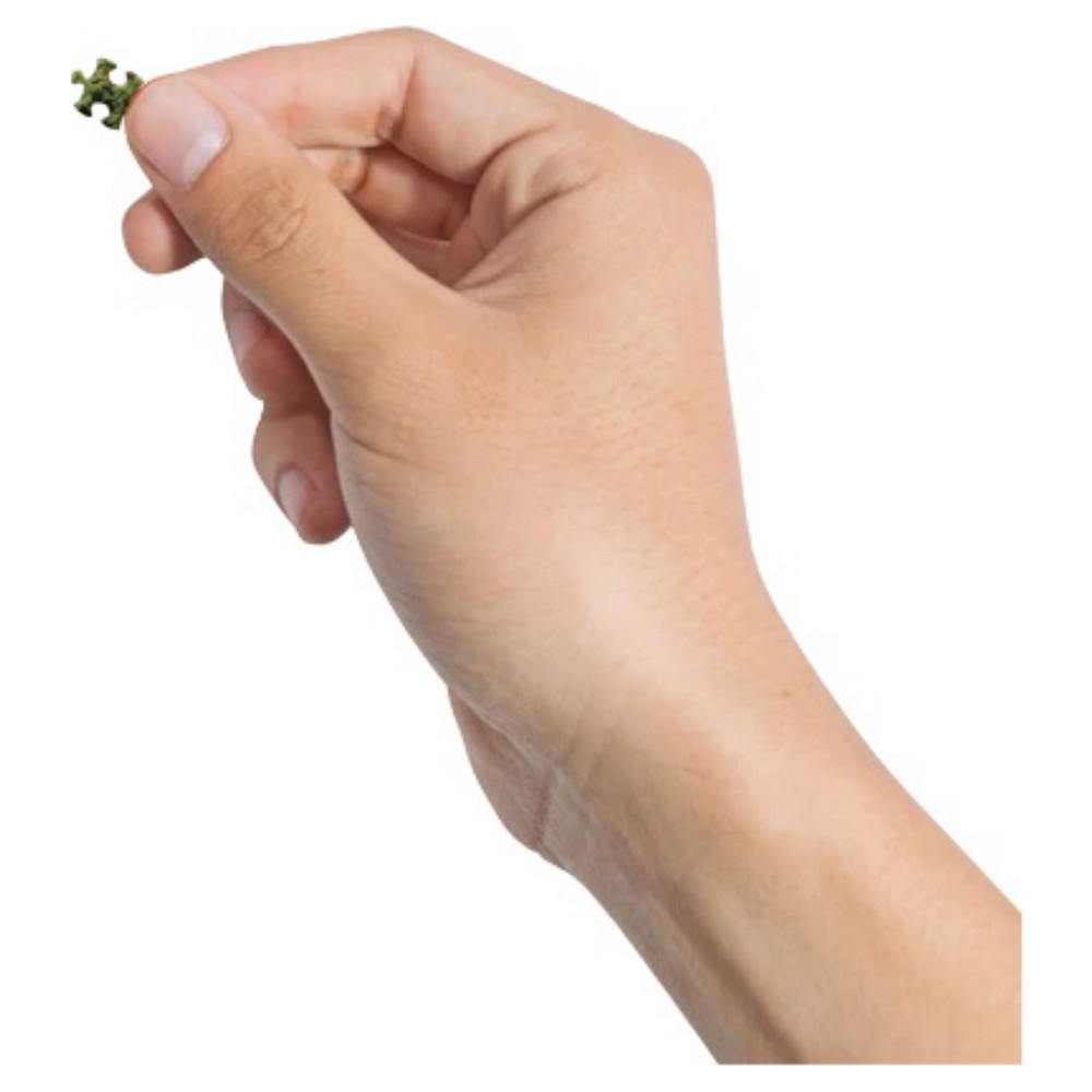 World's Smallest Puzzle: Portofino, Italian Riviera 1000 palaa