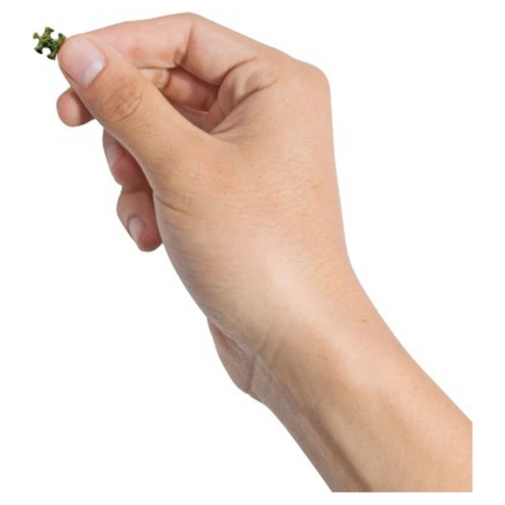 World's Smallest Puzzle: Dutch Windmills 1000 palaa