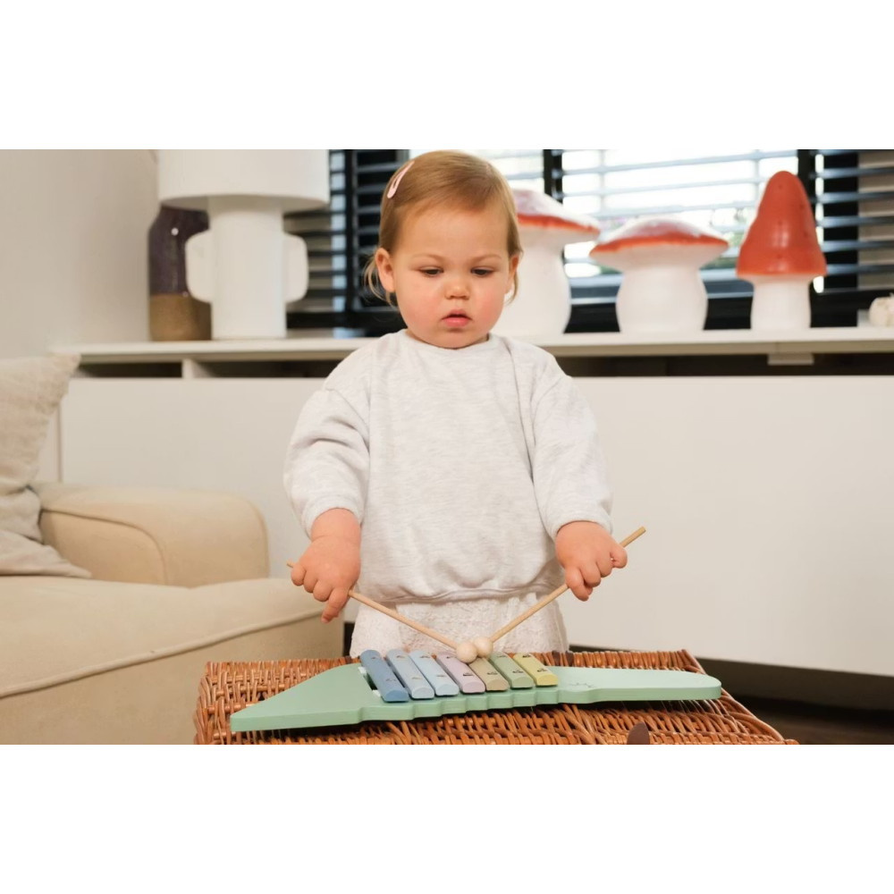 Ksylofoni Värikäs Krokotiili