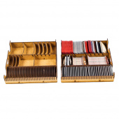 e-Raptor Insert - Gloomhaven + Forgotten Circle e-Raptor Insert - Gloomhaven + Forgotten Circle