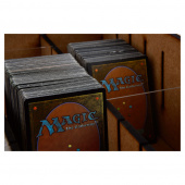 e-Raptor - Card Storage Case Basic e-Raptor - Card Storage Case Basic