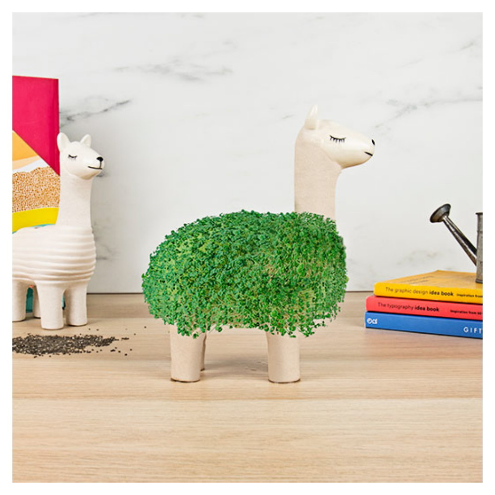 Llama Planter