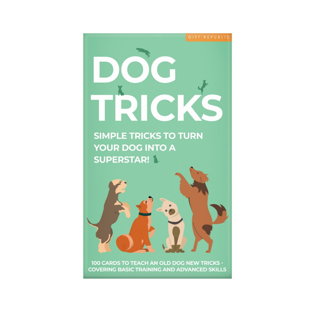 Dog Tricks