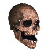 Latex Mask Skull