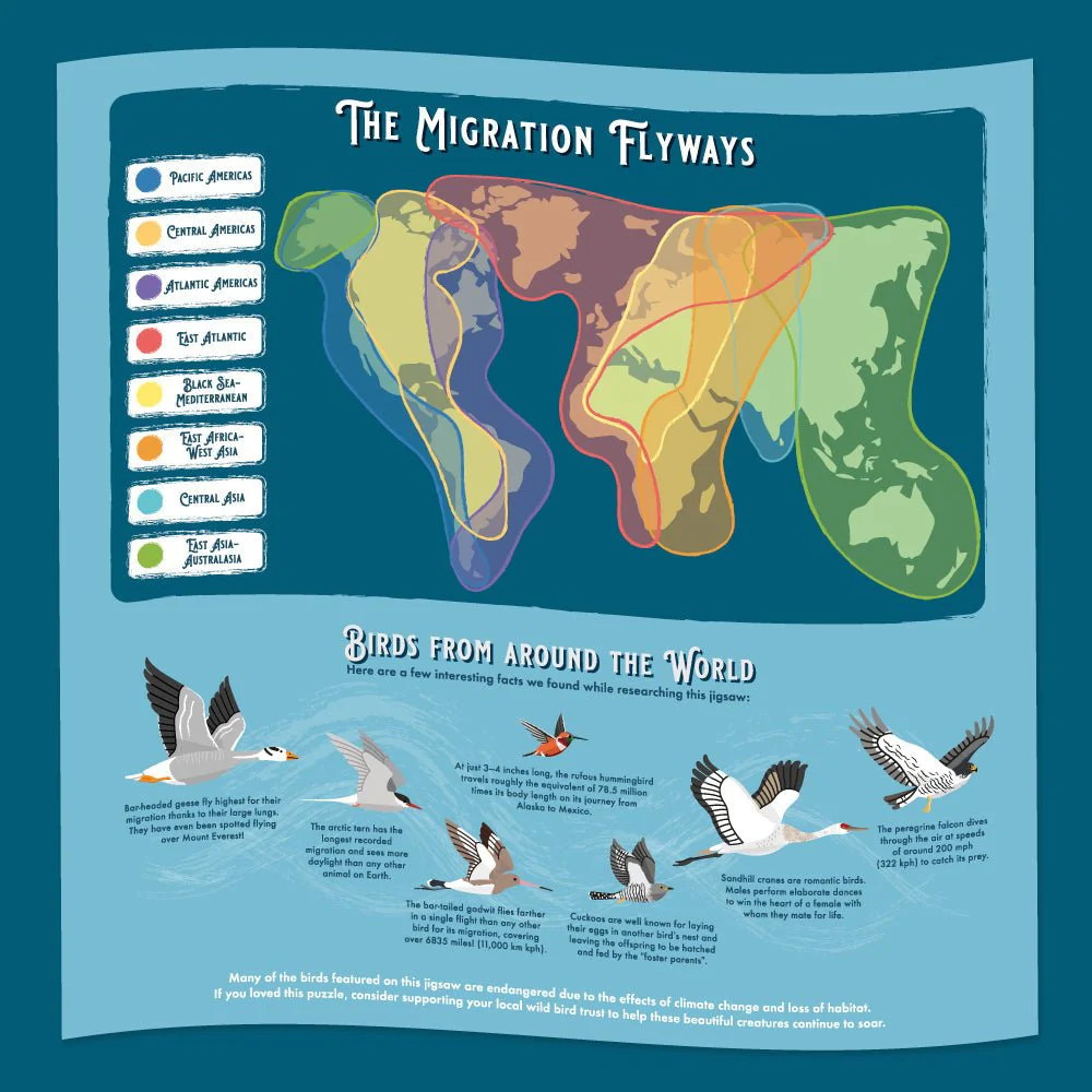 Ridley's - Bird Lover 1000 Palaa