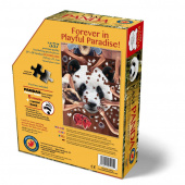 Palapeli - I Am Panda 550 palaa Palapeli - I Am Panda 550 palaa