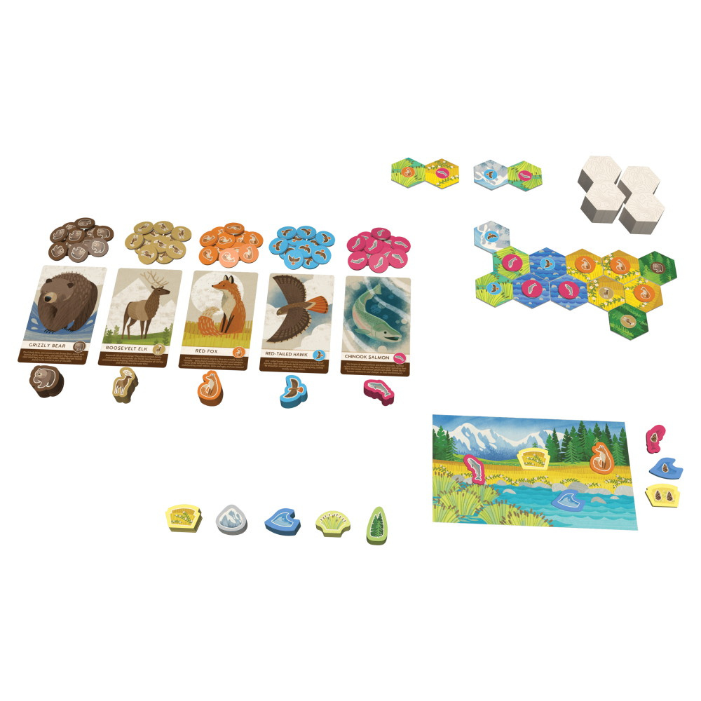 Cascadia Junior (FI)