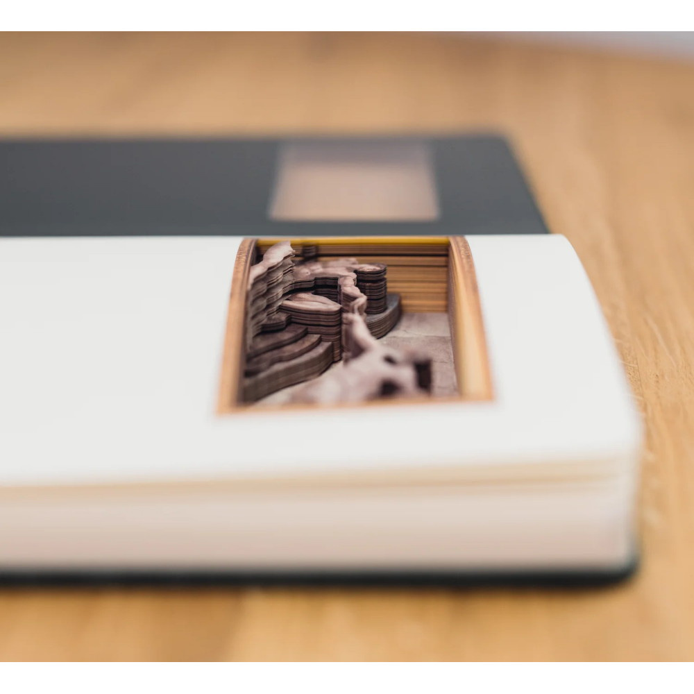 Cartartem Notebook - Creation of Adam