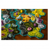 The Wolves The Wolves