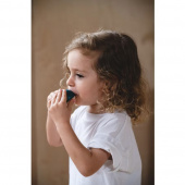 Vaalipilli Vaalipilli