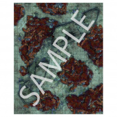 Pathfinder RPG: Flip-Mat - Shipwrecks Pathfinder RPG: Flip-Mat - Shipwrecks