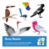 Busy Beaks Busy Beaks