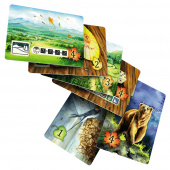 Meadow: Cards & Sleeves Pack (Exp.)