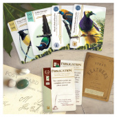 Birdwatcher Birdwatcher