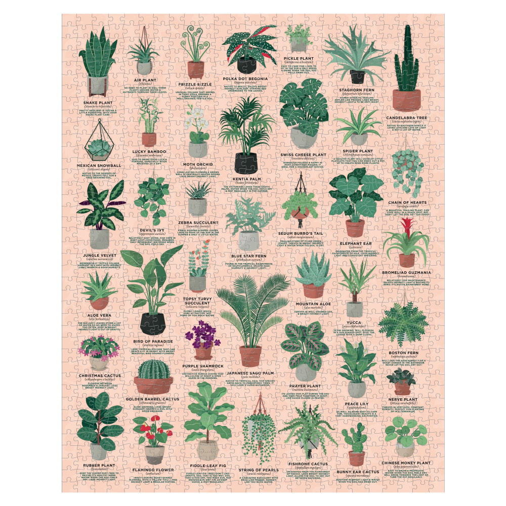 Ridley's - House Plants 1000 Palaa