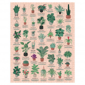 Ridley's - House Plants 1000 Palaa Ridley's - House Plants 1000 Palaa