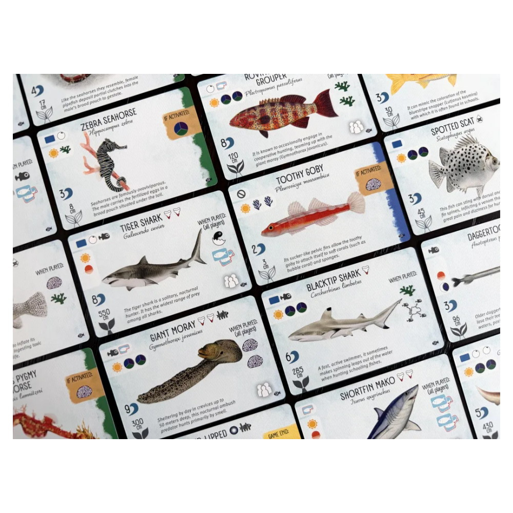 Finspan: Sharks & Reefs (Exp.) (EN)