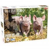 Tactic: Piglets 1000 Palaa Tactic: Piglets 1000 Palaa