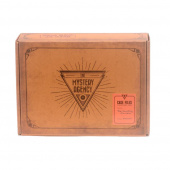 The Mystery Agency: The Balthazar Stone The Mystery Agency: The Balthazar Stone